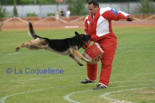 Sarco des Guerriers du Crépuscule Sarco des Guerriers du Crépuscule