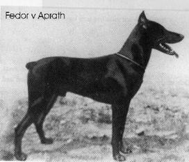Fedor von Aprath Fedor von Aprath