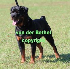 Earl von der Bethel Earl von der Bethel