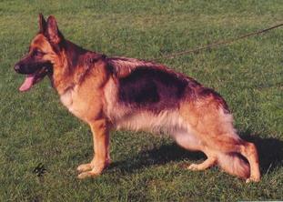 Debby von Oxsalis Debby von Oxsalis