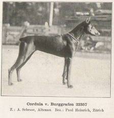Cordula vom Burggrafen Cordula vom Burggrafen