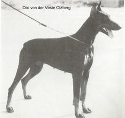 Dixi von der Veste Otzberg Dixi von der Veste Otzberg
