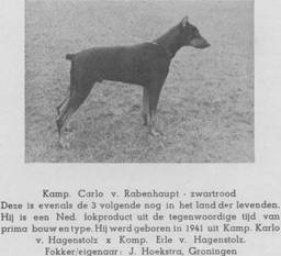 Carlo von Rabenhaupt Carlo von Rabenhaupt