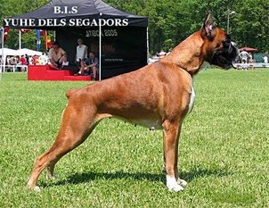 Yuhe dels Segadors Yuhe dels Segadors