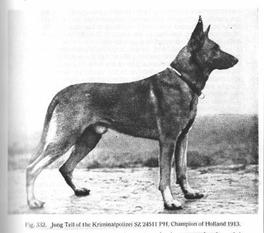 Jung Tell von der Kriminalpolizei Jung Tell von der Kriminalpolizei