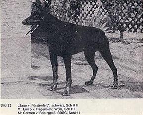Jago von Fürstenfeld Jago von Fürstenfeld