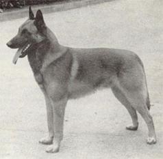 Filou de l'Assa Filou de l'Assa