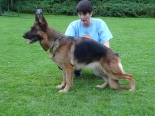Ansa von Gerlett Ansa von Gerlett