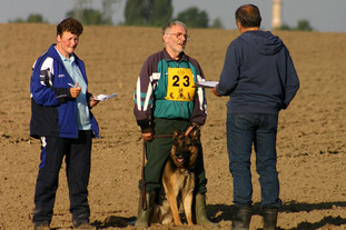 Zenzi von der alten Post Zenzi von der alten Post