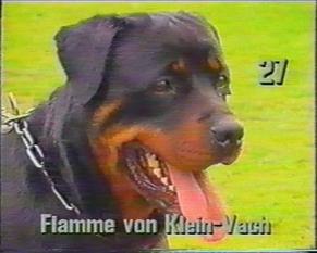 Flamme von Klein - Vach Flamme von Klein - Vach