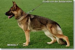 Gunda von der Salztal-Höhe Gunda von der Salztal-Höhe