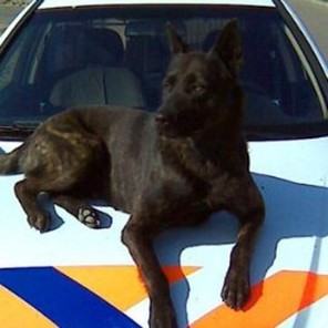 Holland Eran van Le Dobry Holland Eran van Le Dobry