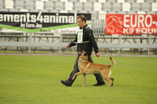 Pitu vom Further Moor Pitu vom Further Moor