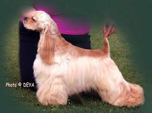 Very Vigie Born to Win Very Vigie Born to Win
