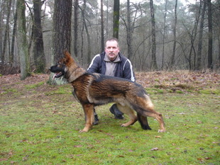 Jacko vom Luberg Jacko vom Luberg