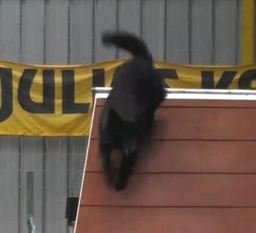 Irhaberki Ciróka Maróka Irhaberki Ciróka Maróka