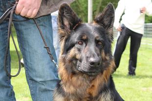 Indira (SZ-R 25000019) Indira (SZ-R 25000019)