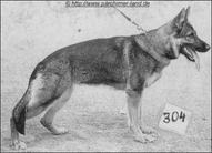 Aggi von der Westendhöhe