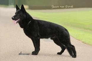Jucan von Peroh Jucan von Peroh