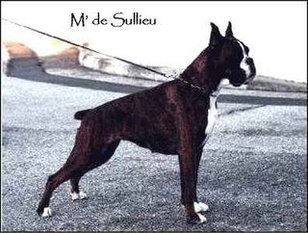 Mag de Sullieu Mag de Sullieu