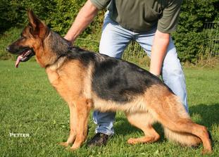 Ronja aus der neuen Hauffstraße Ronja aus der neuen Hauffstraße