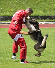 Treff vom Wolfsgraben Treff vom Wolfsgraben