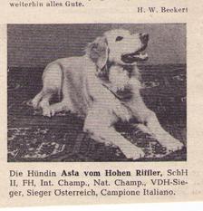 Asta vom Hohen Riffler Asta vom Hohen Riffler
