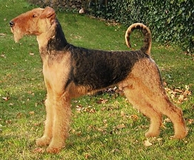 Raul von der Laubenhaid Raul von der Laubenhaid