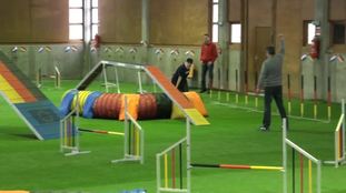 Easy vom Ponywappen Easy vom Ponywappen