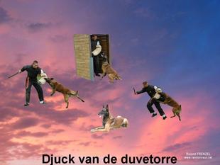 Djuck van de Duvetorre Djuck van de Duvetorre