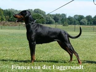 Franca von der Fuggerstadt Franca von der Fuggerstadt