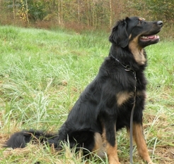 Lady Lana von der Spreewehrmühle Lady Lana von der Spreewehrmühle