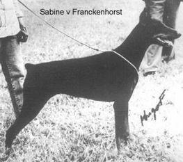 Sabine vom Franckenhorst Sabine vom Franckenhorst