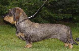 Wanja von Rauhenstein Wanja von Rauhenstein