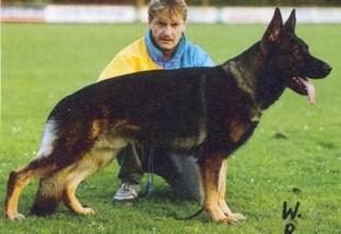 Anton vom Pendel Bach Anton vom Pendel Bach
