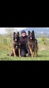 Myriam Wolf Myriam Wolf
