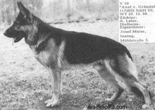Axel vom Gründel Axel vom Gründel