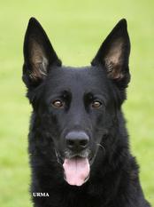 Orion von MaKeRa Orion von MaKeRa