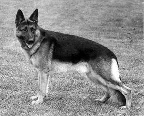 Axel von der Hainsterbach Axel von der Hainsterbach
