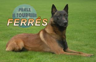 Ferrés Perle de Tourbière Ferrés Perle de Tourbière
