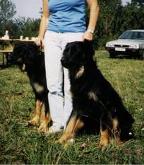 Bogy von Gut Oberau Bogy von Gut Oberau