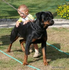 Xena von der Scherau Xena von der Scherau