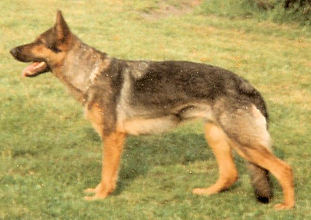Asta vom Visbeckschen Hof Asta vom Visbeckschen Hof