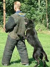 Gideon Gardefense Gideon Gardefense