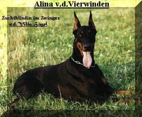Alina von den Vierwinden Alina von den Vierwinden