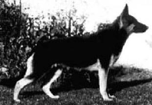 Betty von Bonsdorf Betty von Bonsdorf