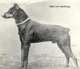 Max vom Kaiserring Max vom Kaiserring