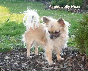 Aimee Jolly Pixie Aimee Jolly Pixie