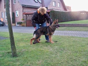 Nelli vom Heidhof Nelli vom Heidhof