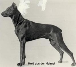 Held aus der Heimat Held aus der Heimat